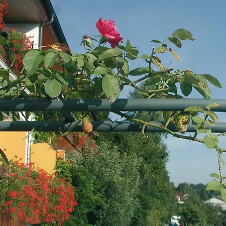 Apartment Landhaus Sternen Sipplingen